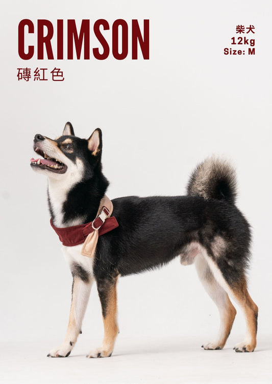 2 in 1 BANDANA - Beige/Blue