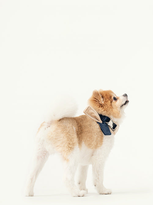 2 in 1 BANDANA - Beige/Blue