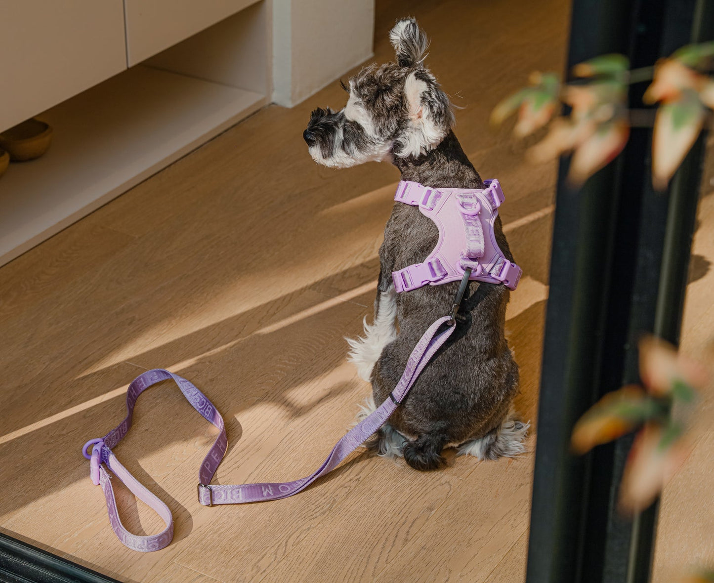 PADDED ACTIVE PET LEASH - MINT PURPLE
