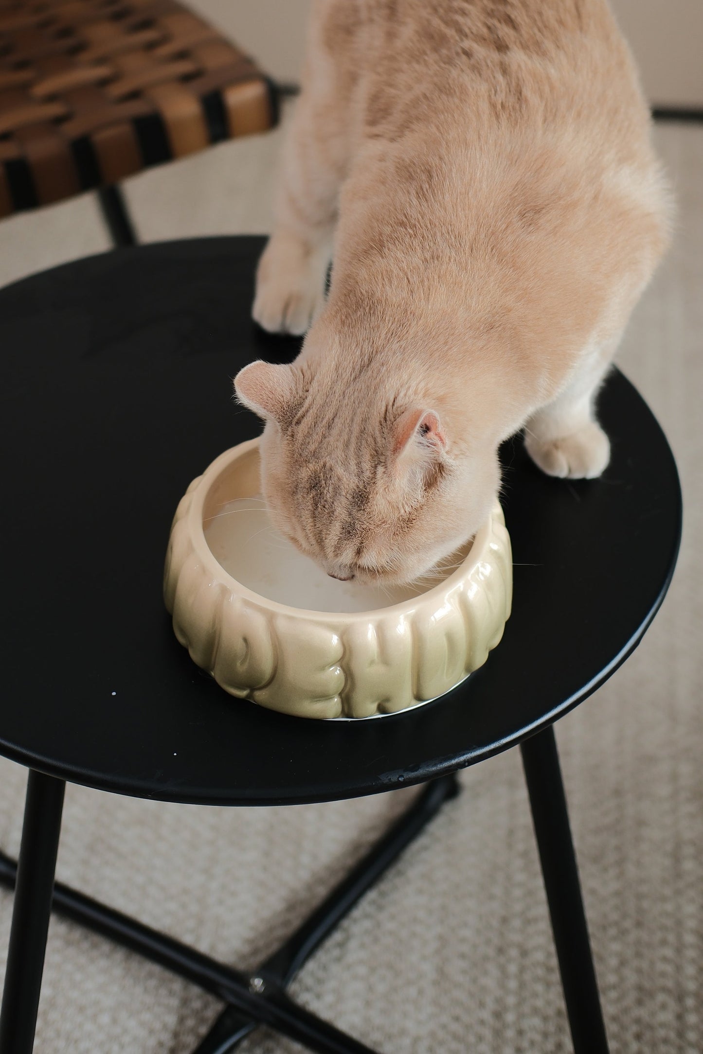 Puff Pet Bowl - Gradient Olive