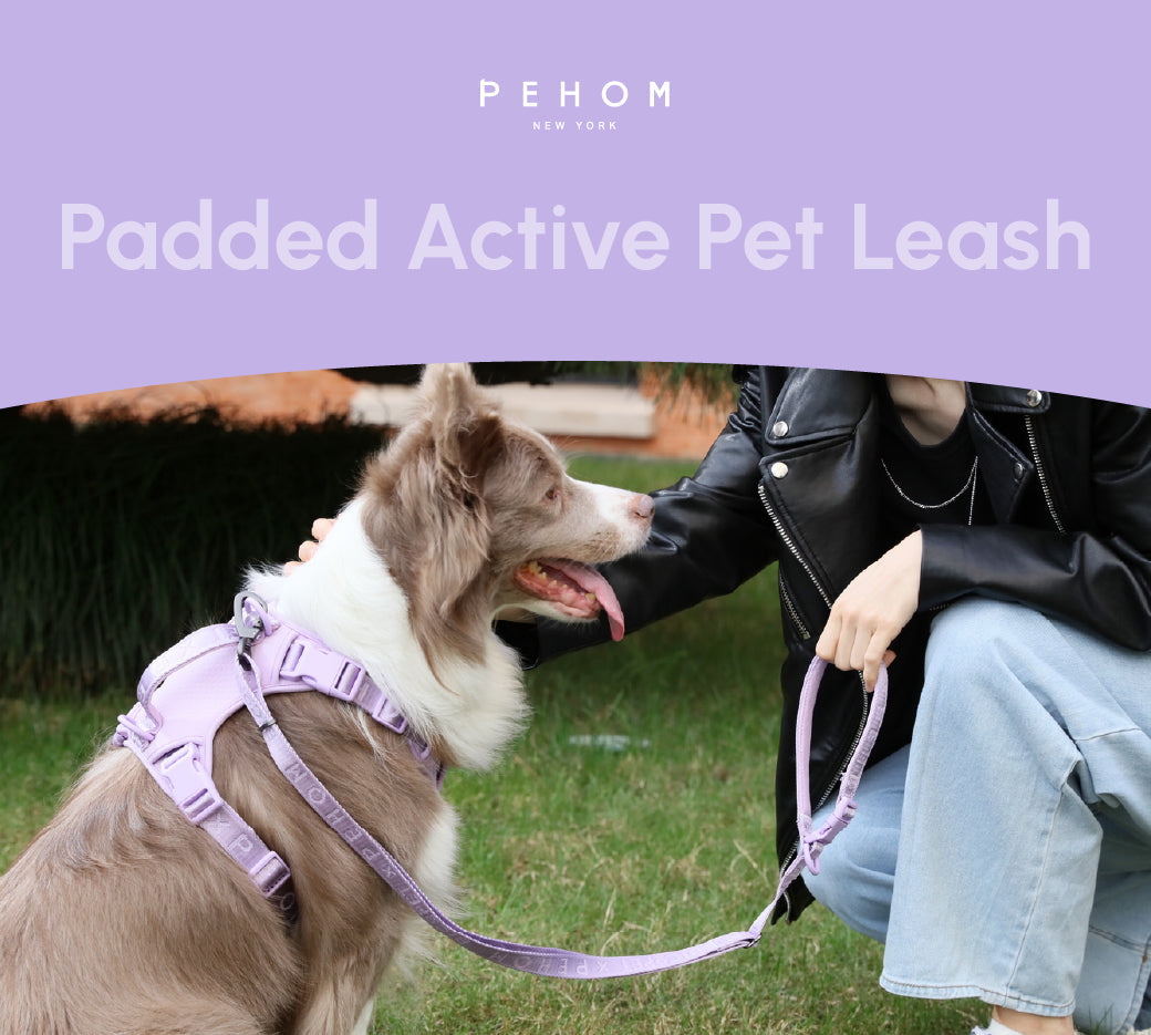 PADDED ACTIVE PET LEASH - MINT PURPLE