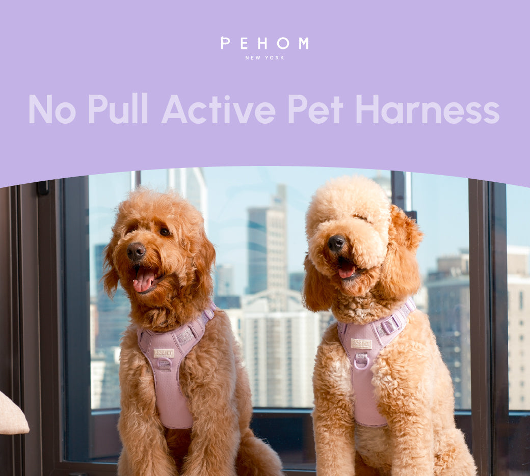 NO PULL ACTIVE PET HARNESS - MINT PURPLE