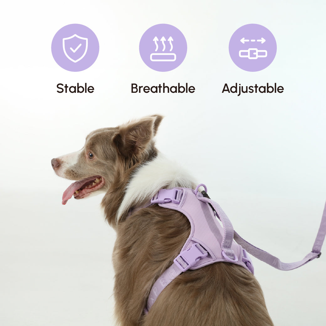 PADDED ACTIVE PET LEASH - MINT PURPLE
