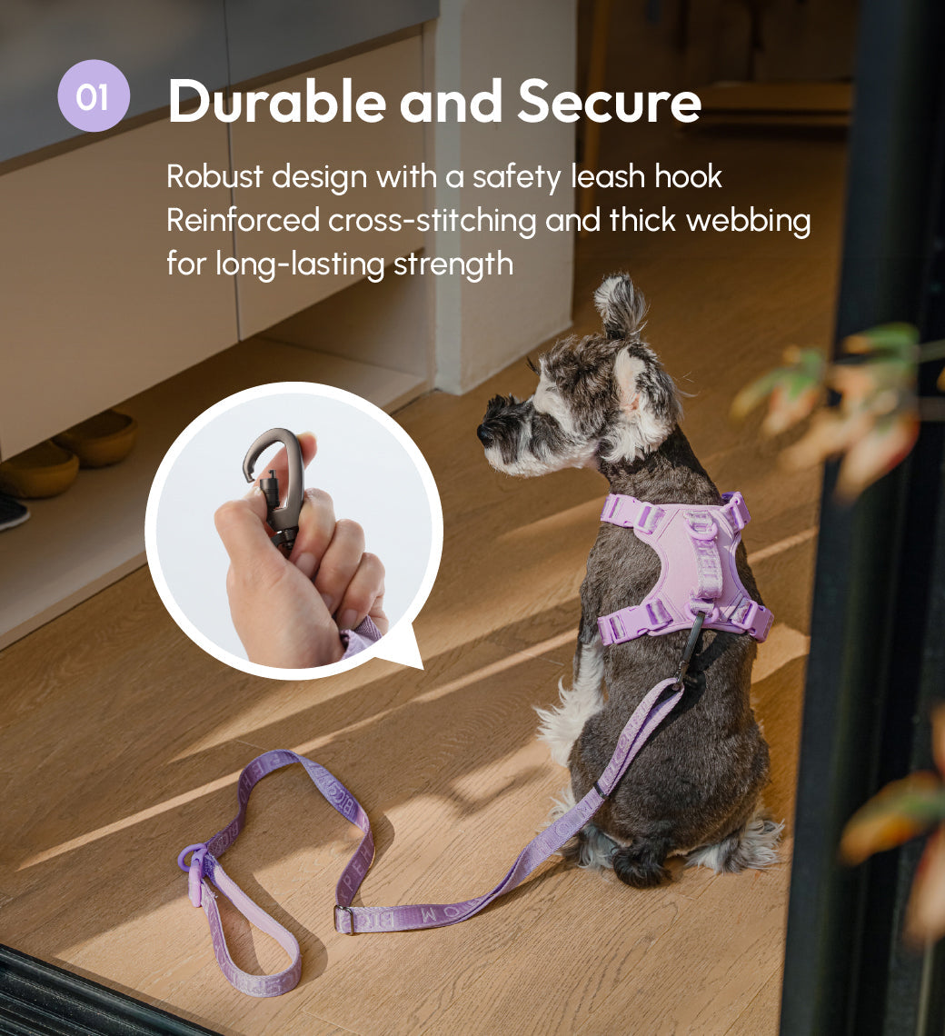 PADDED ACTIVE PET LEASH - MINT PURPLE