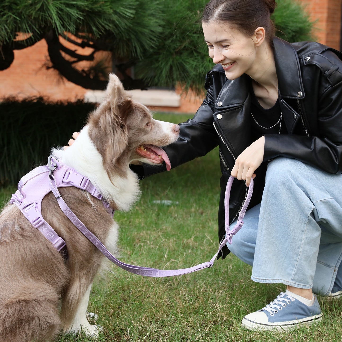 PADDED ACTIVE PET LEASH - MINT PURPLE