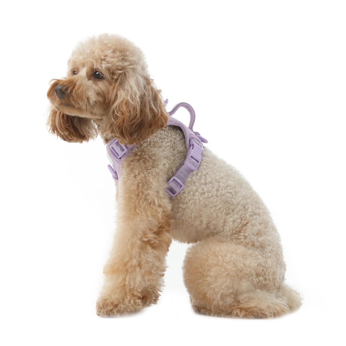 NO PULL ACTIVE PET HARNESS - MINT PURPLE