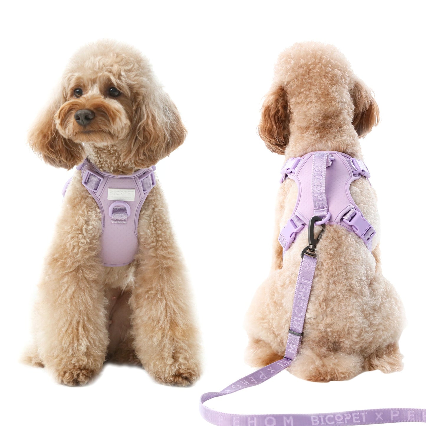 NO PULL ACTIVE PET HARNESS - MINT PURPLE