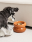 Soufflé Pet Bowl - Amber Orange