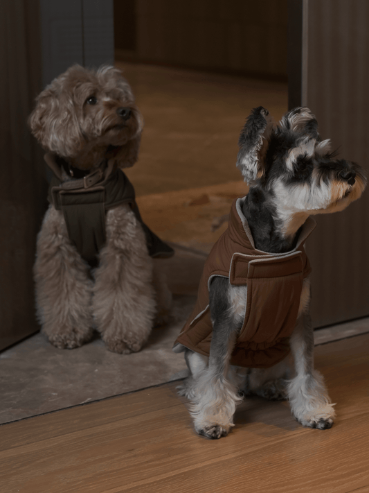 Reversible Dog Vest Jacket - Orange Grey