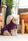 Capsule Raincoat - Purple